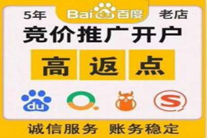 SEM优化策略：实战案例解析